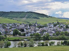 Mistycombe